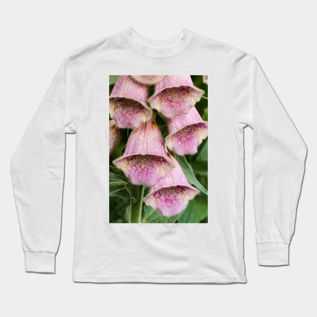 Foxglove In The Garden 1 Long Sleeve T-Shirt by Robert Alsop